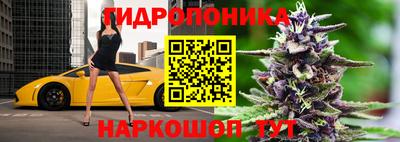 твердый Кингисепп