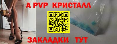 твердый Кингисепп