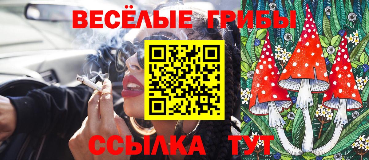 Урай  Псилоцибиновые грибы Cubensis  Вход с VPN  Псилоцибиновые грибы GOLDEN TEACHER 